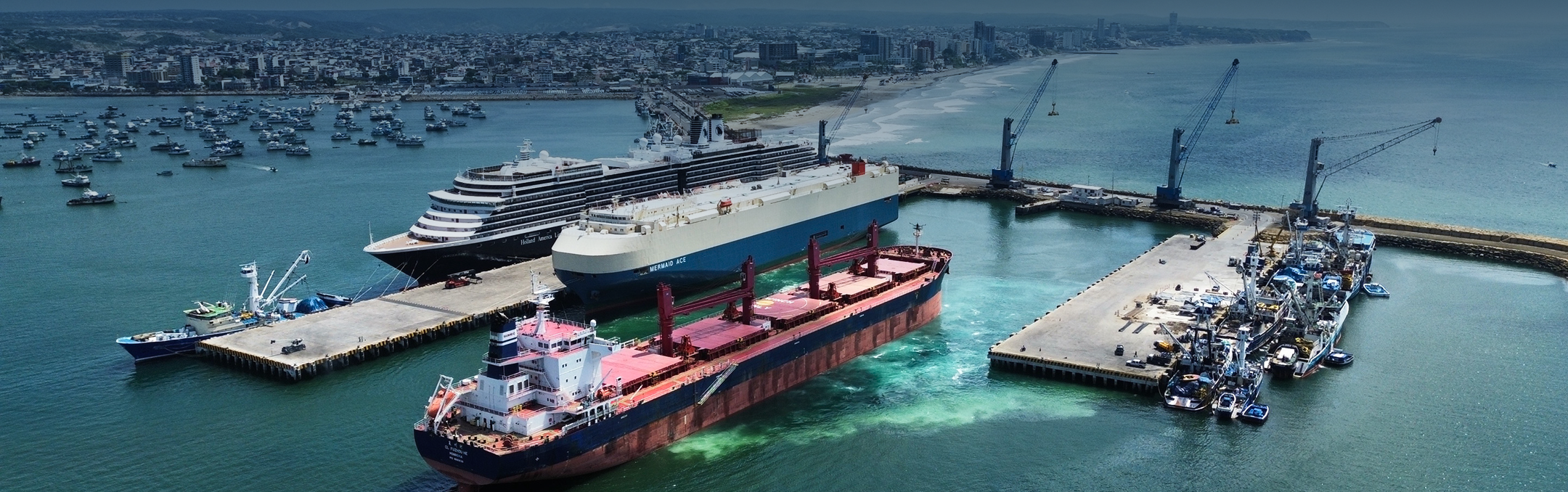 bg-puerto8